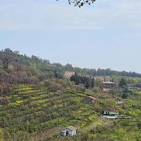 Domus Castanea Ferienhaus Viagrande