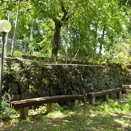 Domus Castanea *
