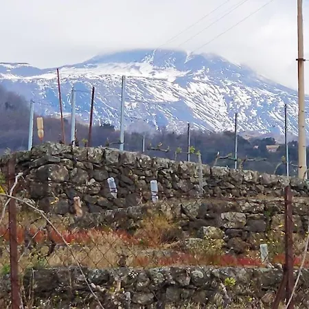 Domus Castanea